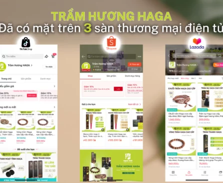 San-TMDT-Tram-Huong-Haga_1