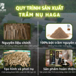 quy-trinh-san-xuat-Tram-Nu-HAGA