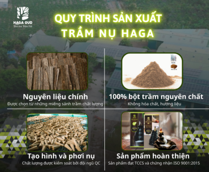 quy-trinh-san-xuat-Tram-Nu-HAGA