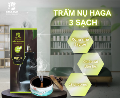 tram-nu-haga-3-sach-xong-nha