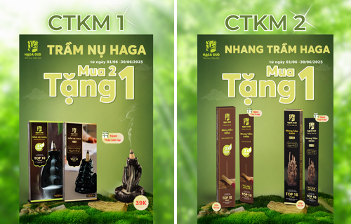 CTKM-Thang 6