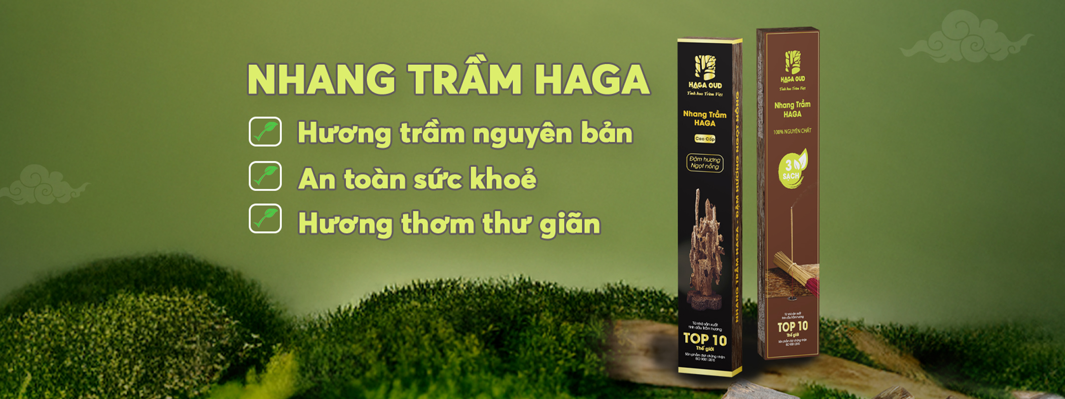 website t06