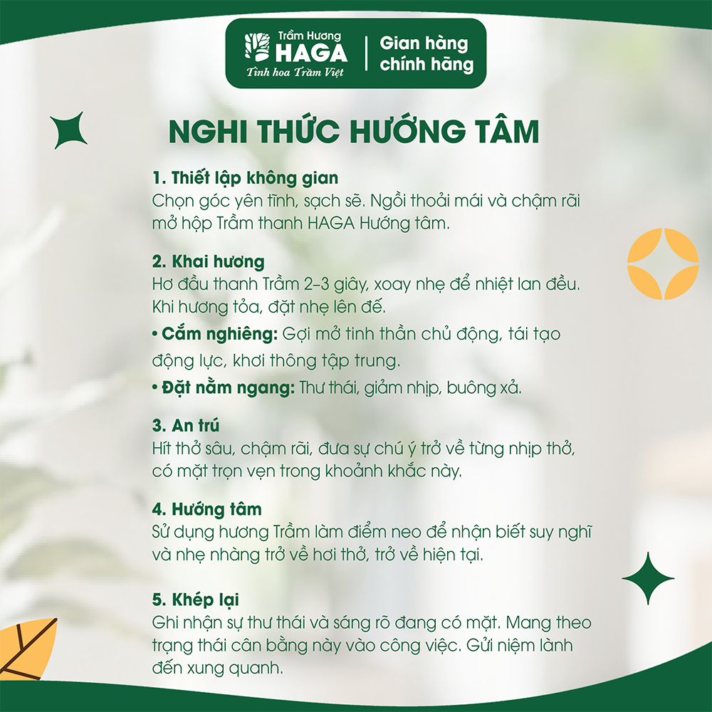 Tram thanh hướng tâm_6mm_refill_5.2